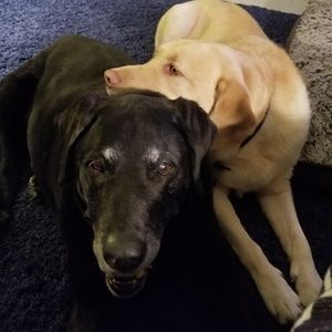 Meet your Posher, Rick